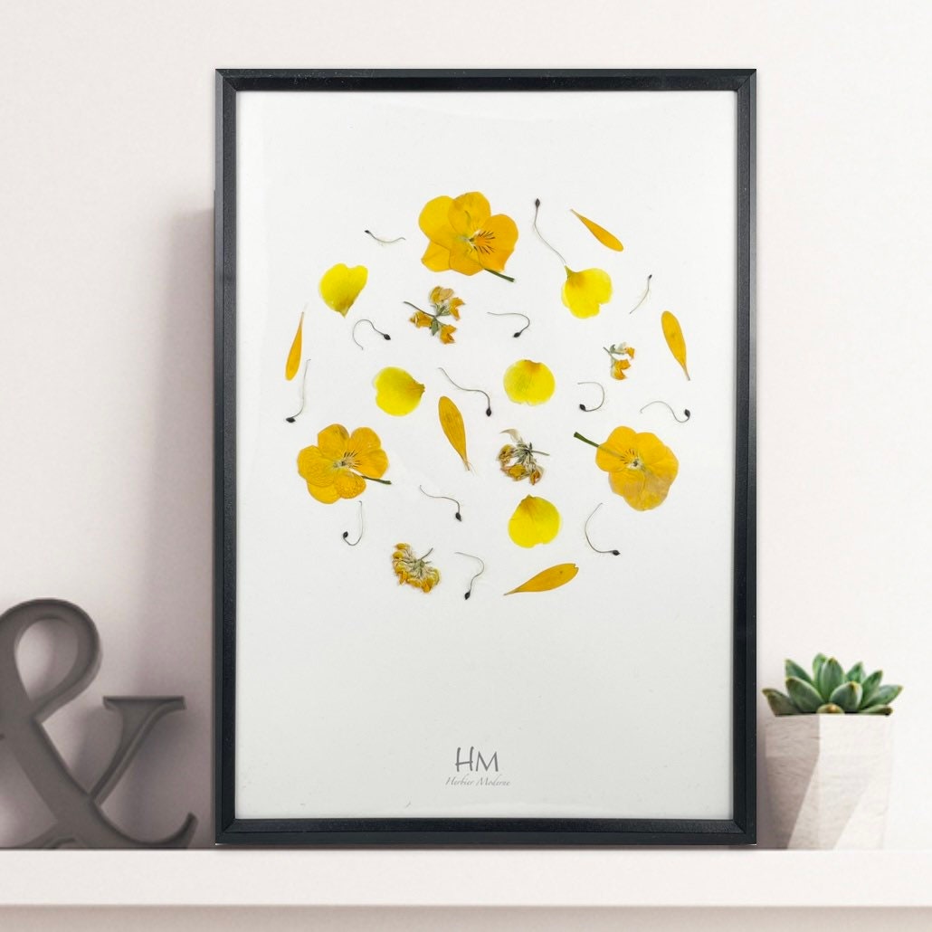 Herbier Yellow Earth