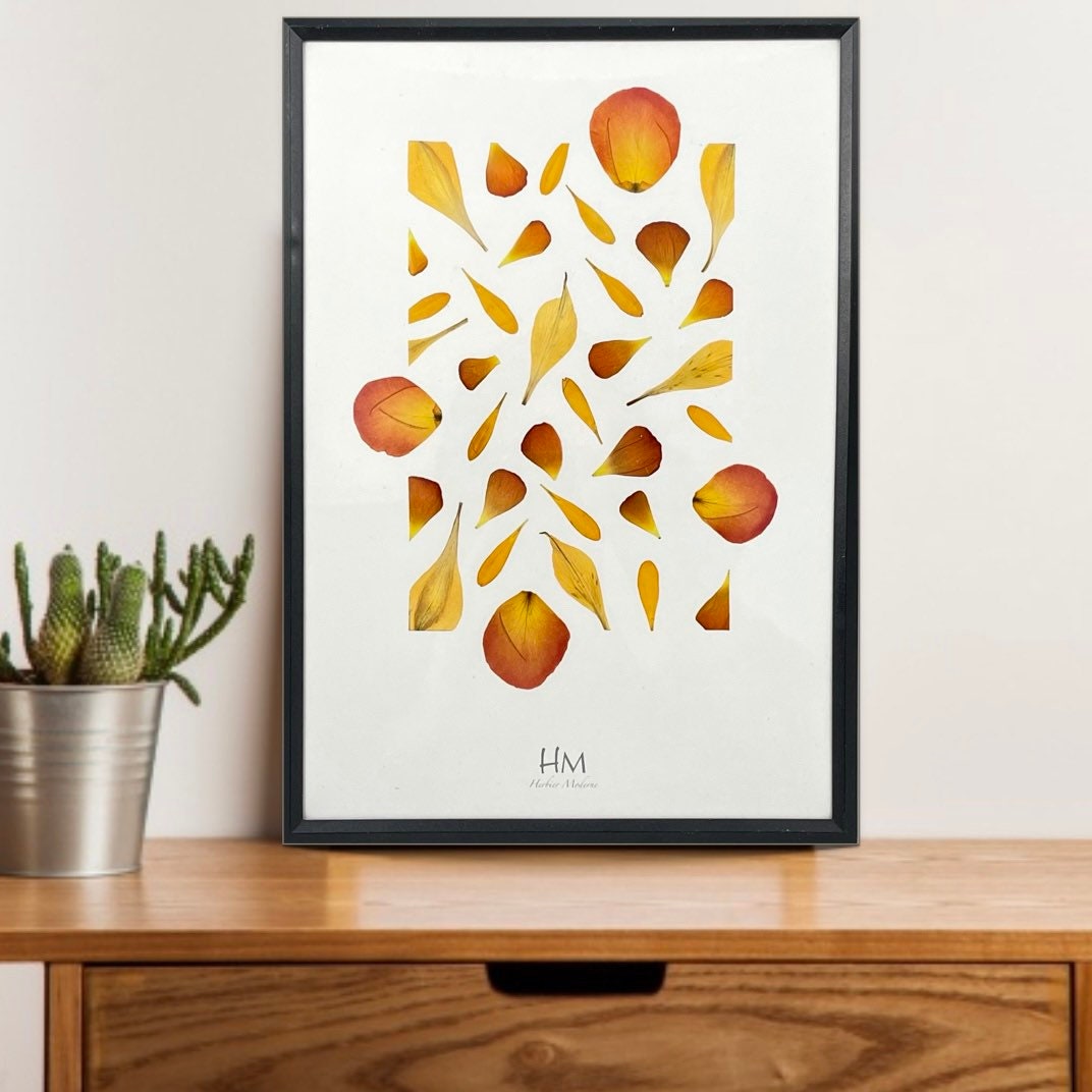 Herbier Orange Juice