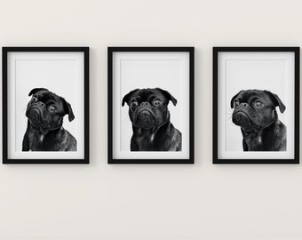 PUG Dog Print Wall Art,  Set of 3 Digital Prints, PUG Cute Dog Wall Art, Digital Download, Pug Dog Cute Printable,  Pug Dog Printable