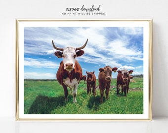 Cow Print: Farmhouse Highland Cattle Poster (Digital Download)