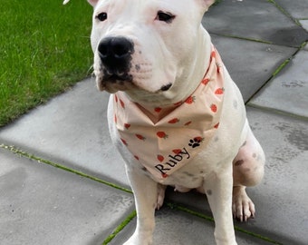 Personalised dog bandana, personalised cat bandana, pet scarf, tie up bandana, strawberry bandana