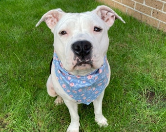 Personalised dog bandana, personalised cat bandana, pet scarf, tie-up style, floral bandana