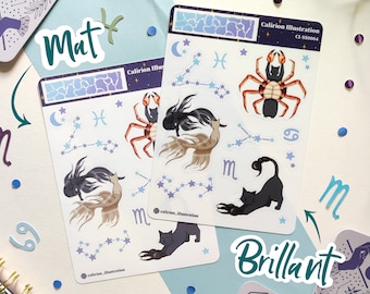 Zodiac cats - water sign - Sheet of stickers/Stickers Sheet A6 - Matte or Glossy - cute illustrations - bullet journal