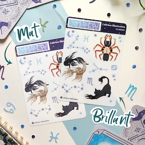 Zodiac cats - water sign - Sheet of stickers/Stickers Sheet A6 - Matte or Glossy - cute illustrations - bullet journal