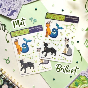 Zodiac cats - earth sign - Sheet of stickers/Stickers Sheet A6 - Matte or Glossy - cute illustrations - bullet journal