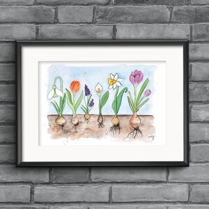 Bulbos de flores, decoración de pared de jardín de primavera, decoración estética de jardín de flores, tulipán con estampado de bulbo, arte de planos de flores, arte de primavera floreciente