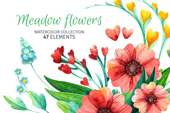Watercolor flower png clipart seamless pattern designs and | Etsy