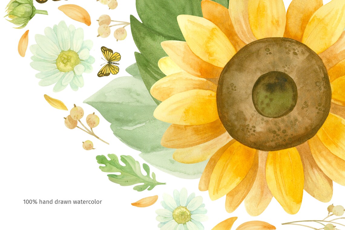 Sunflower png heart shaped watercolor clipart Sunflower Etsy