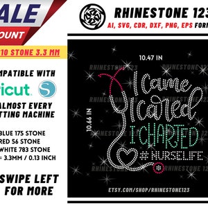 I Came I Cared I Charted Rhinestone Template, cricut, silhouette, Rhinestone SVG, Rhinestone File for SS10, PNG, AI, cdr, dxf, eps