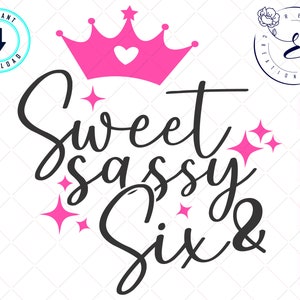 Sweet sassy six svg - Zes jaar oude svg - zoete en brutale svg voor cricut en silhouet - Verjaardag svg - Instant download
