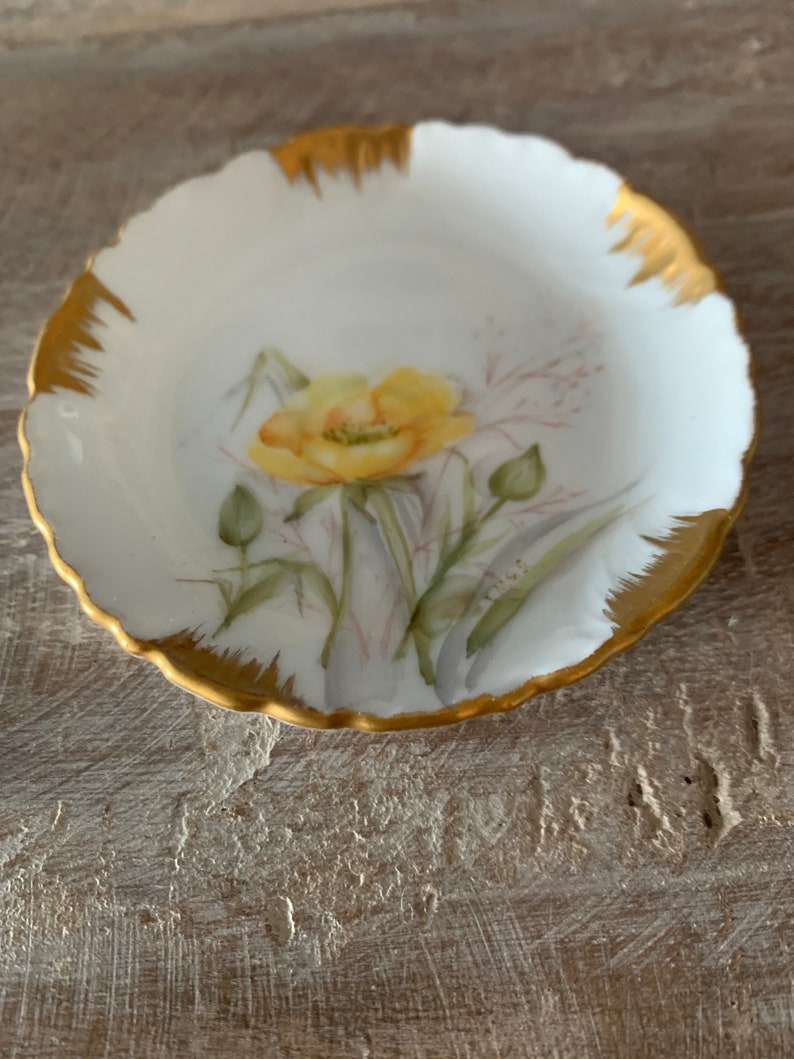 1891 Haviland CFHGDM Yellow Rose Butter Pat Plates