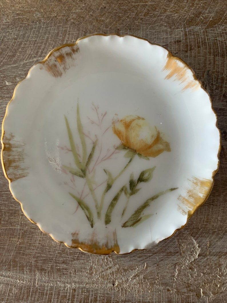 1891 Haviland CFHGDM Yellow Rose Butter Pat Plates