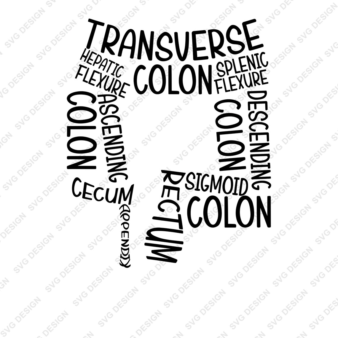 Endoscopy Nurse colon Anatomy Endo Nurse PNG File Etsy UK