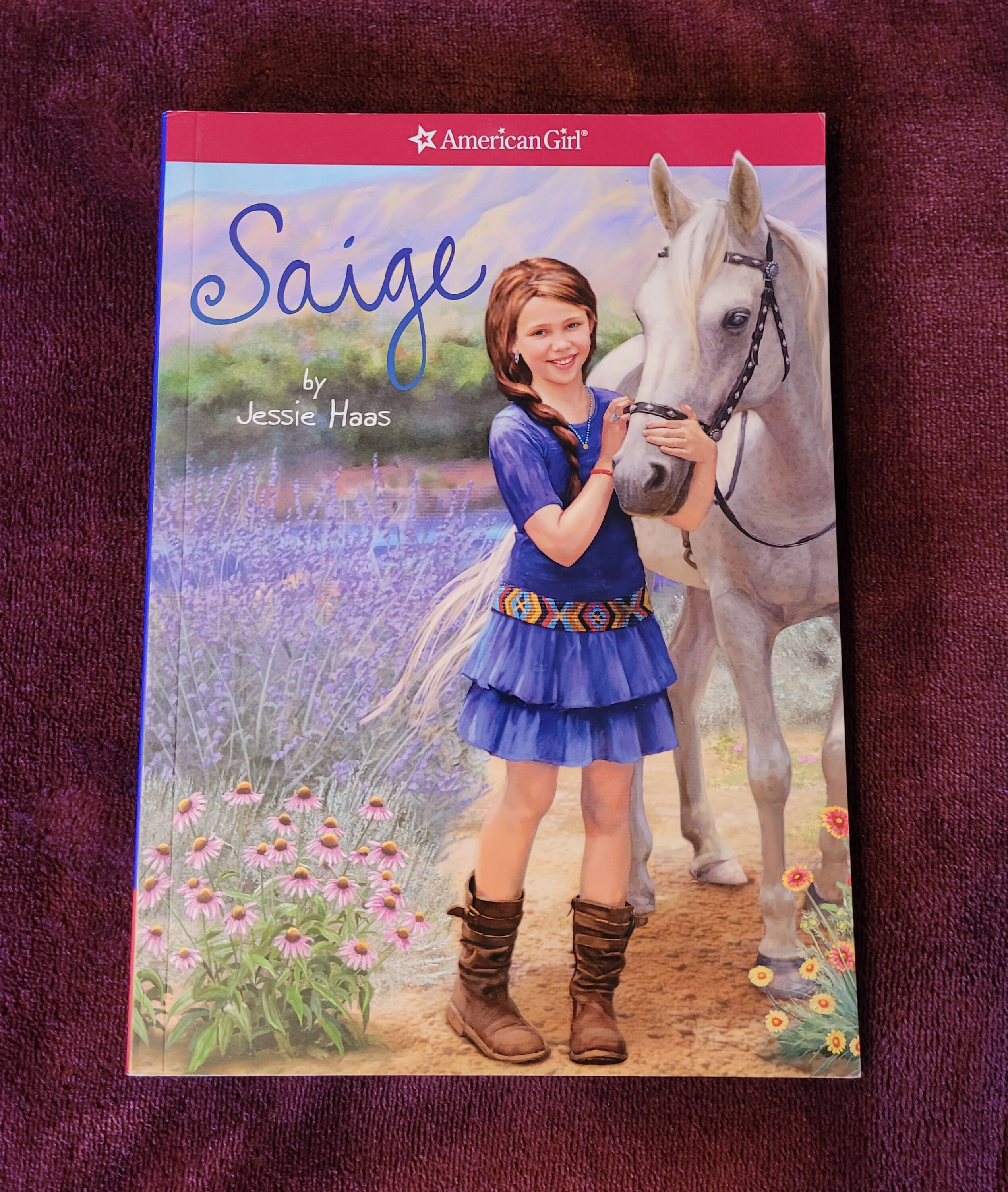 American Girl Doll Book Saige by Jessie Haas Etsy