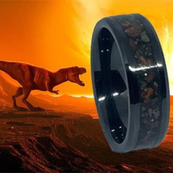 T-Rex bone, meteorite, Amber ring