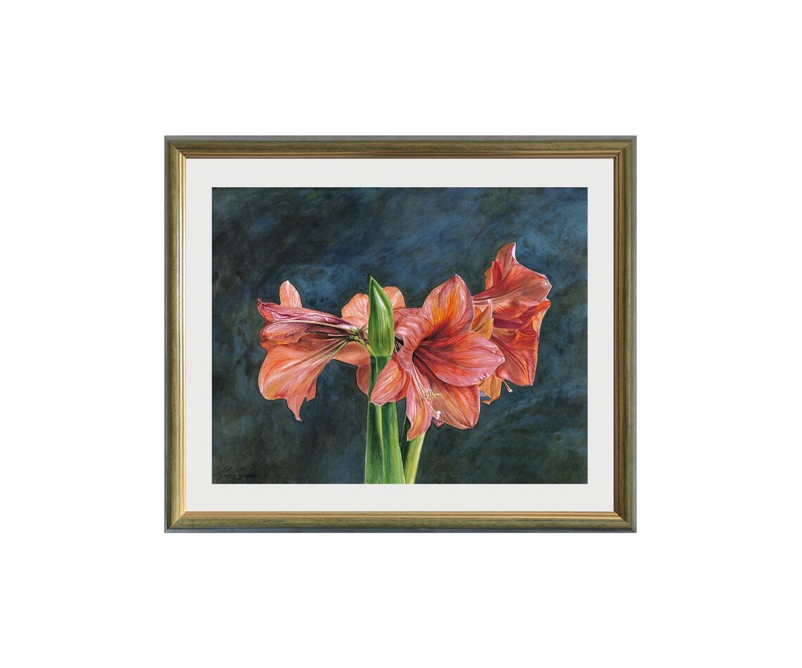 Fine Art Print Amaryllis Floral Watercolor Giclée Realistic Fine Art