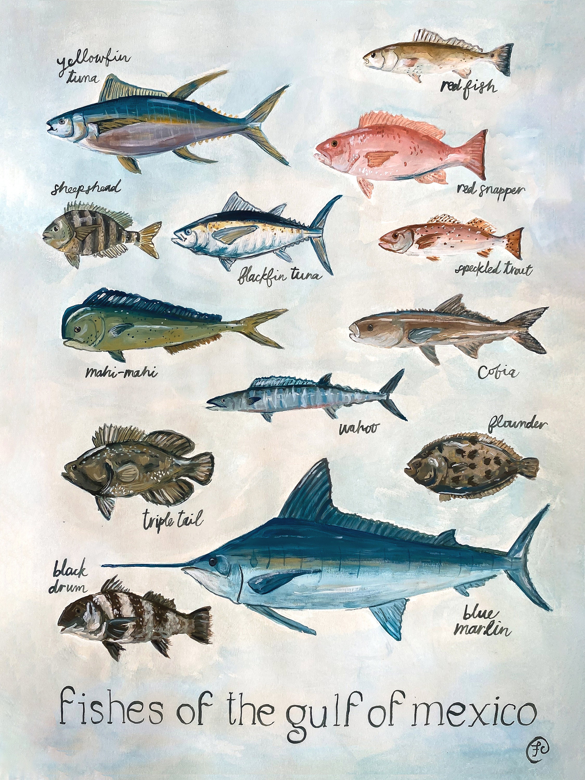 Gulf coast fish art Etsy Canada