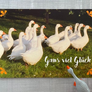 Carte postale OIE BONNE CHANCE
