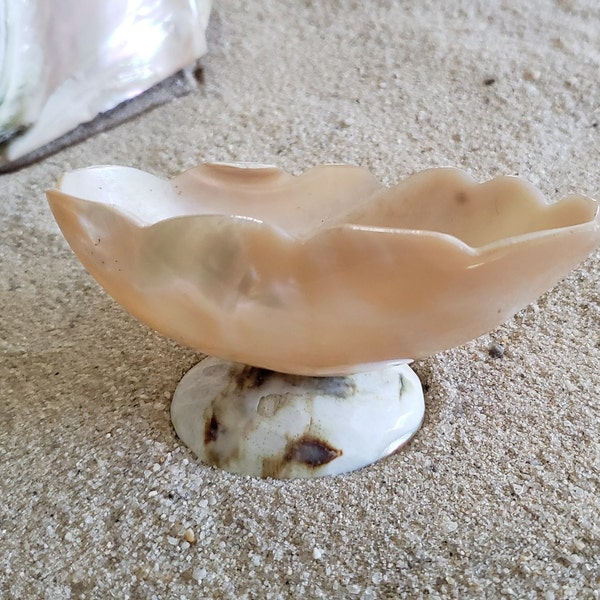 Antique Carved Green Turbo Shell Footed Trinket Dish