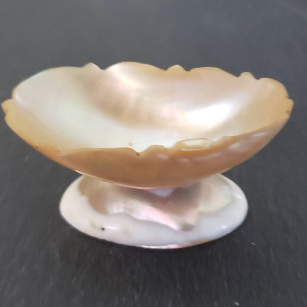 Antique Carved Turbo Shell Footed Dish