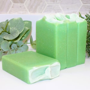 May include: Two green rectangular bars of soap with a light green and white interior. The soap is next to green leafy plants. The soap has a speckled appearance. The soap is a refreshing addition to any bathroom.