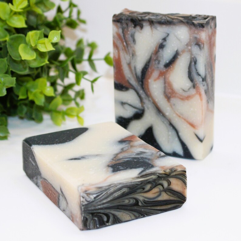 Soap for Man, Mahogany Coconut, Dragons Blood, Pine Tree, Birthday Gift Boyfriend, Valentine Gift Him, Masculine Charcoal Bar, Men Spa Skin image 3