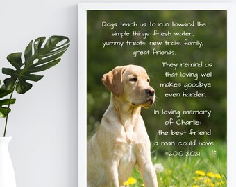 Op de afbeelding: Een ingelijst afdruk met een foto van een golden retriever die in een veld met gele bloemen zit. De afdruk bevat een citaat over honden en een eerbetoon aan een hond genaamd Charlie, die van 2010 tot 2021 leefde.