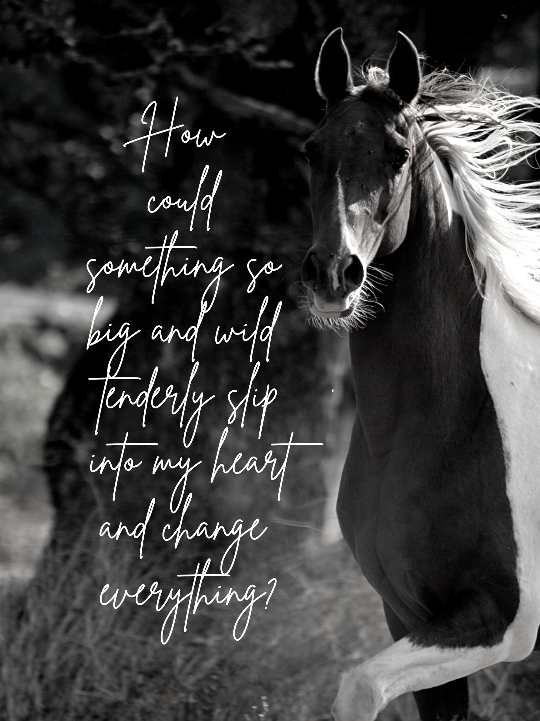 Paint Horse Print Paint Horse Gift Paint Horse Picture Etsy