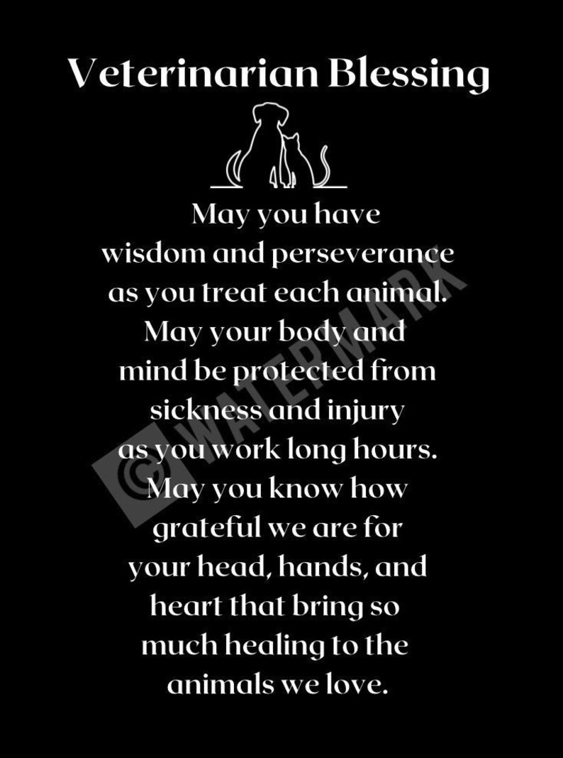 Gift for Veterinarian Thank You Gift for My Veterinarian Etsy