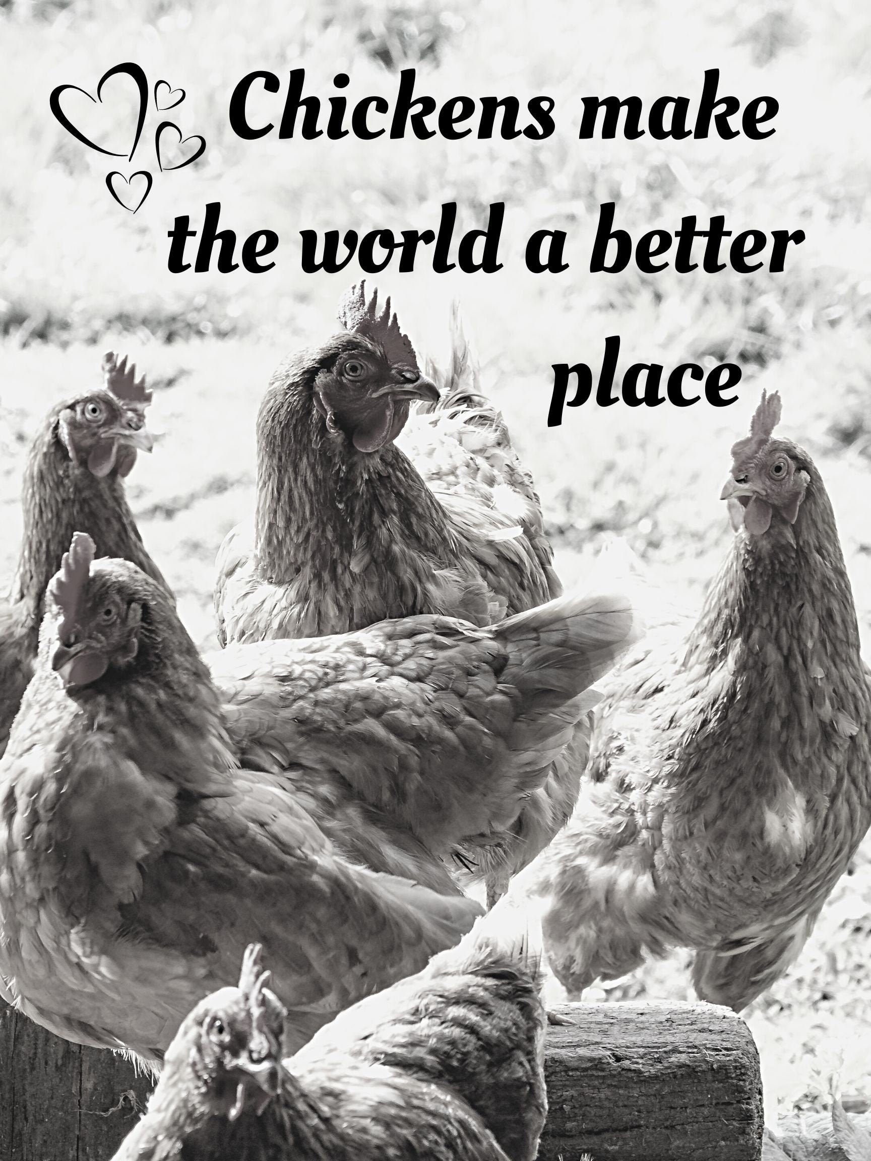 Chicken Gift Chicken Lovers Chicken Lover Christmas Gift - Etsy Australia