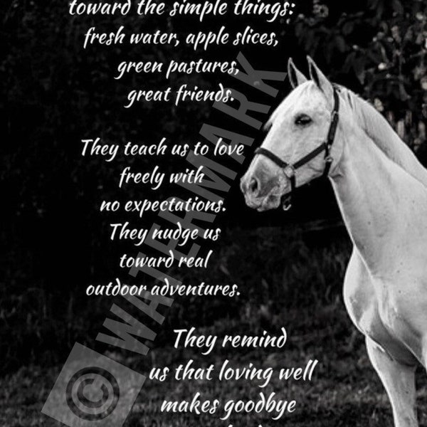 Horse Lover Gift PRINT - Gift for Equestrian - Horse 8x10 Print - I love horses - Horses teach us - Gift for a Horse Lover - Barn Gift