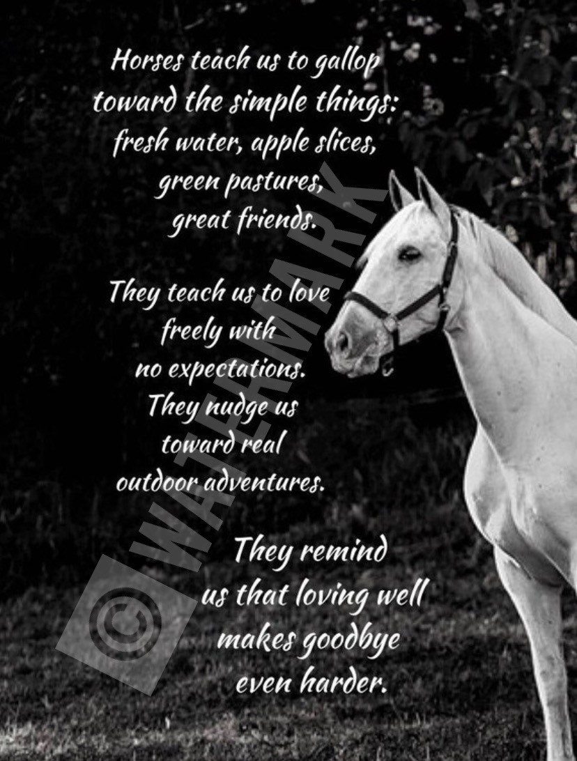 Horse Poems For Kids