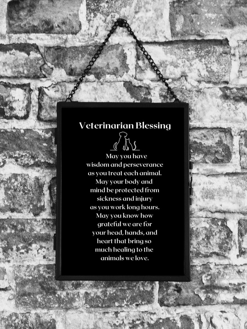 Gift for Veterinarian Thank You Gift for My Veterinarian Etsy