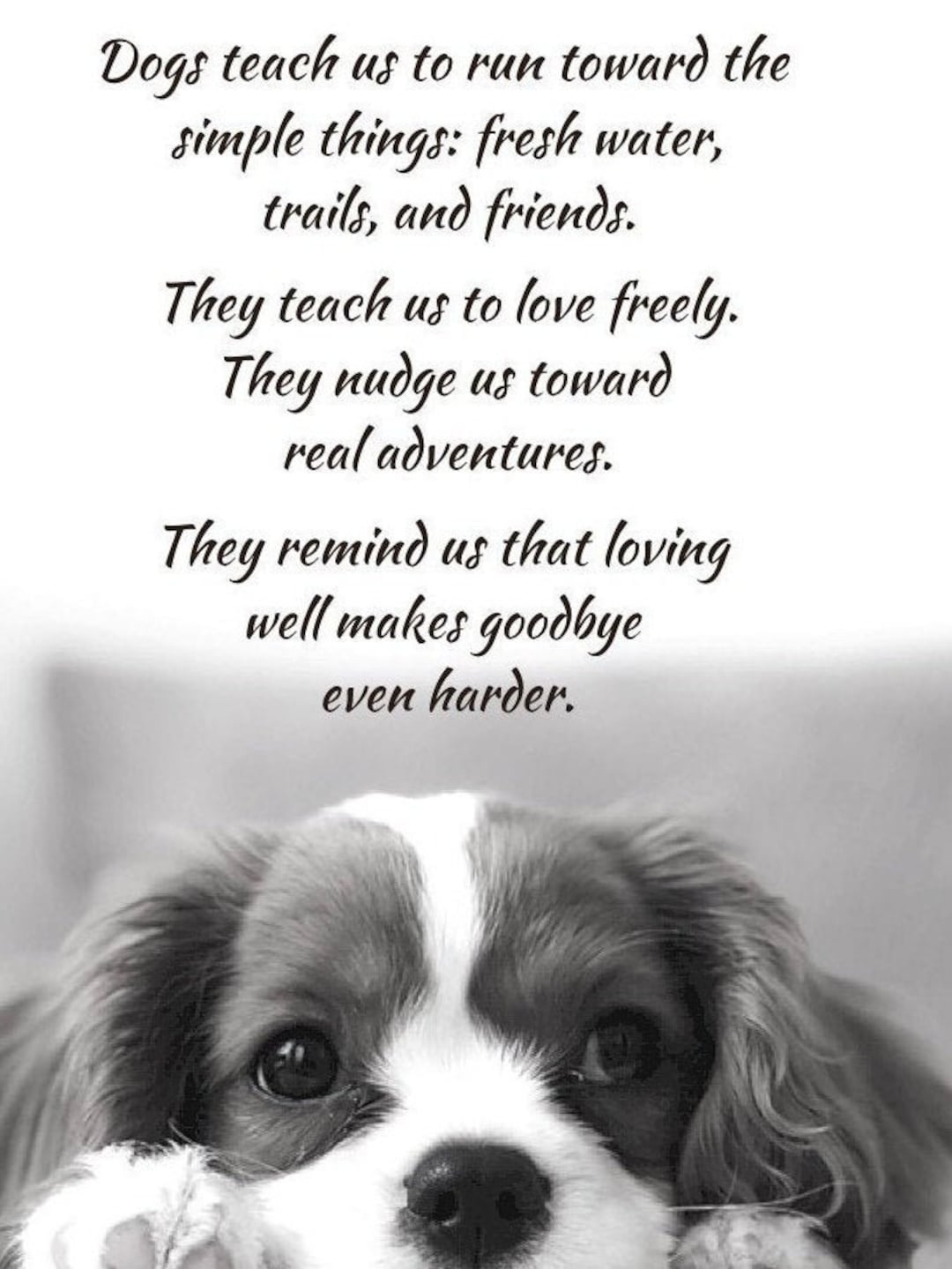 Dog Lover Gift Ideas Dog Poem Dog Celebration New Puppy - Etsy Dog Lover Gift Ideas Dog Poem Dog Celebration New Puppy - Etsy