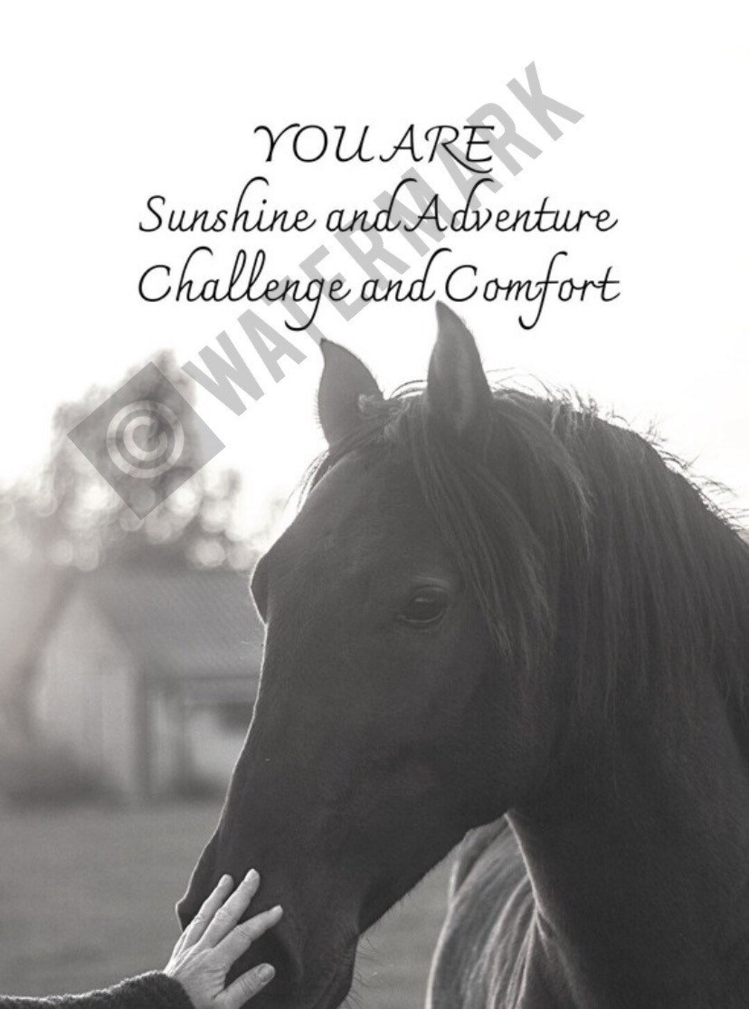 Horse Lover PRINTABLE Gift Digital Horse Print Equestrian Gift Equine