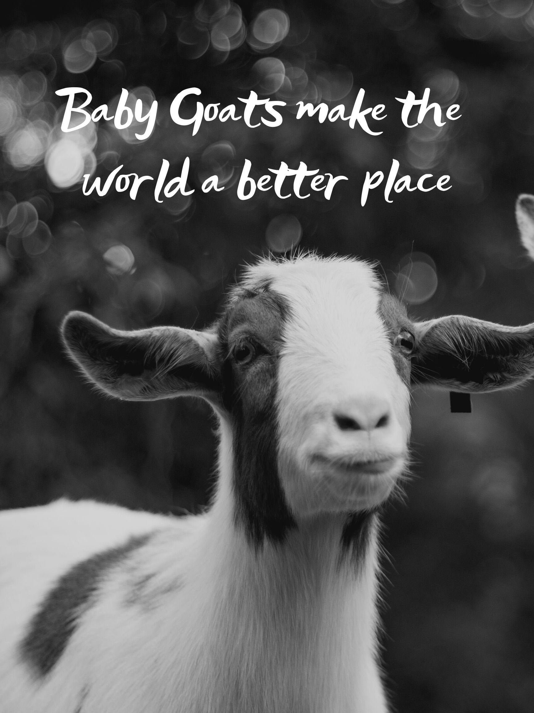 Baby Goat Gift Impresión digital para celebrar a las cabras Etsy