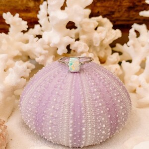 May include: A silver ring with a rectangular opal center stone and two smaller accent stones. The ring is displayed on a light purple sea urchin shell, with white coral and sand in the background. The ring is a piece of jewelry.