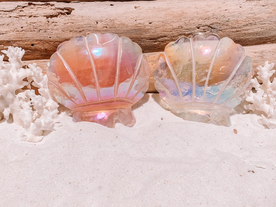 Rose Quartz Seashell Quartz Scallop Shell Amethyst Etsy