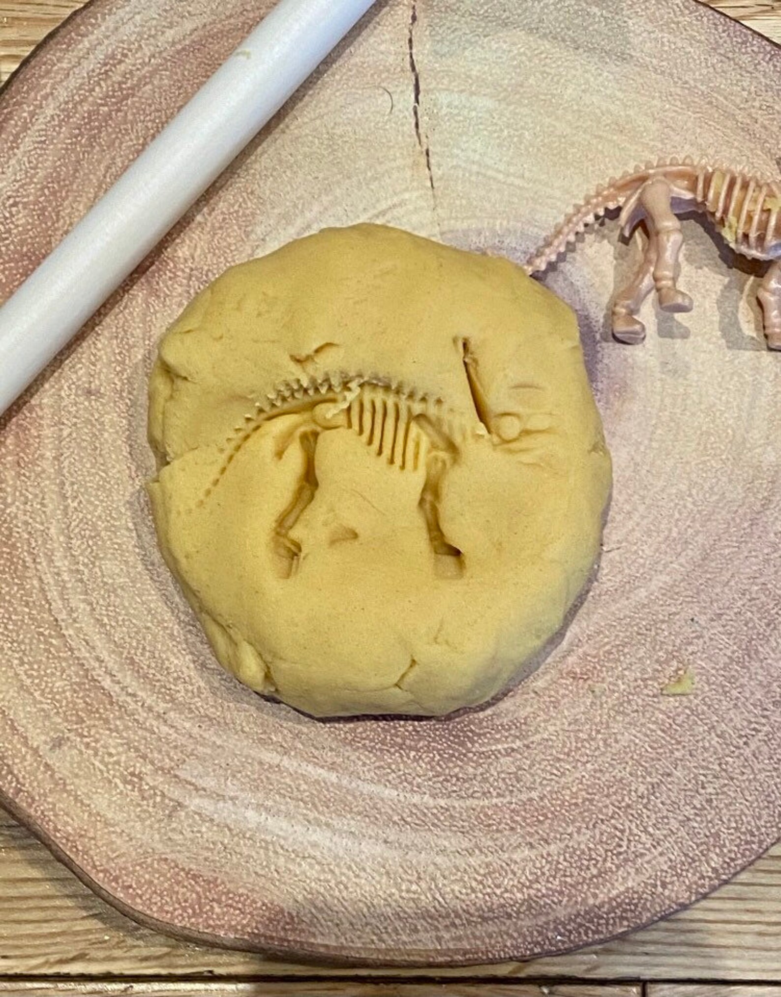 Dinosaur fossil play dough Fossil play dough kit Mini play Etsy