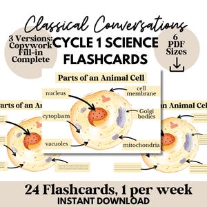 Ciclo 1 de Conversas Clássicas Flashcards de Ciências Ciclo 1 Cartões de Memória de Ciências Materiais para Imprimir em Casa Trabalho de Memória de Ciências do Ciclo 1