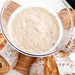 Organic Sourdough Starter and Sourdough Ebook: How to Make your First Loaf Sourdough Bread Dehydrated Sourdough Gift Bread Starter Era