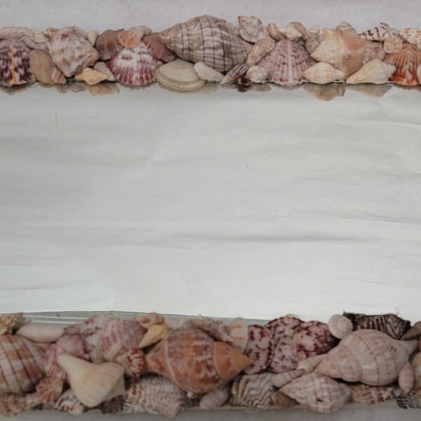 Seashell Mirror - Etsy
