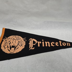Ivy League Pennants - Etsy