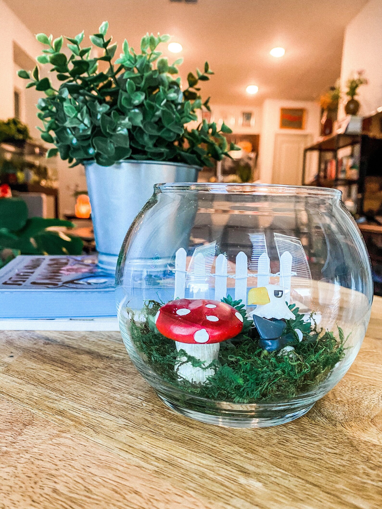 Animal Crossing Mini Terrarium Apollo Etsy
