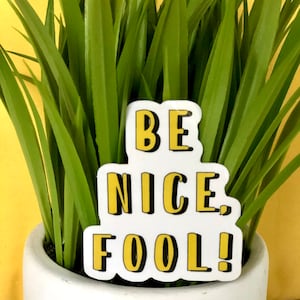 Be Nice Fool Sticker
