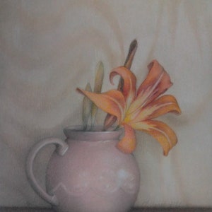 One daylily
