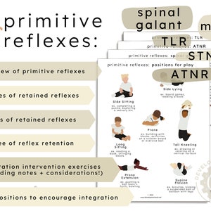 Instant Download | Primitive Reflexes: Integration, Exercises, Play Positions + Signs of Retention | OT Student | Occupational Therapy