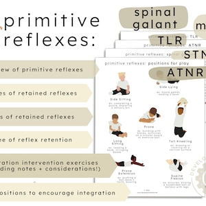 Sofortdownload | Primitive Reflexe: Integration, Übungen, Spielpositionen + Anzeichen von Behalten | OT Schüler | Ergotherapie