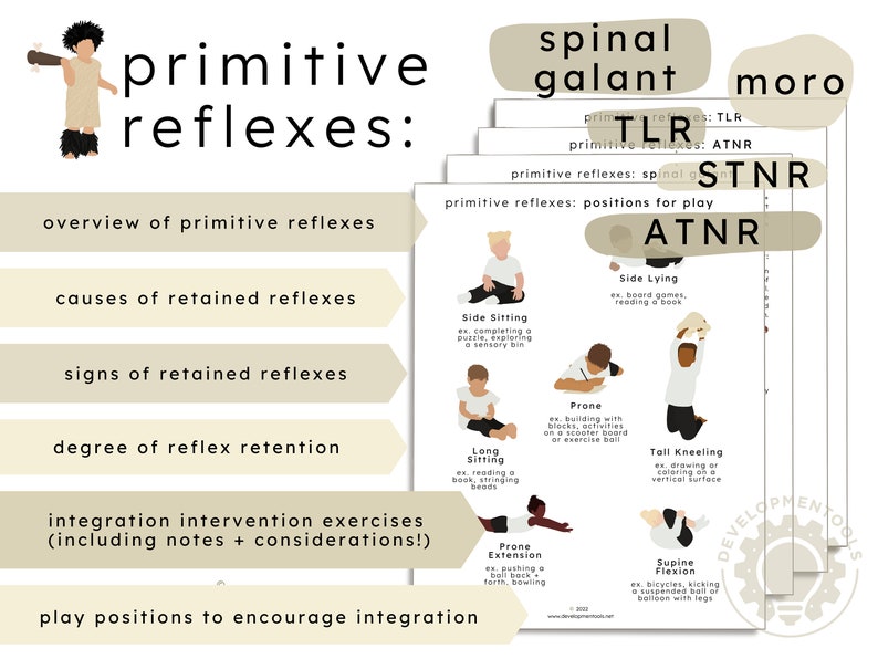 May include: A printable chart with illustrations of children in different positions, such as side lying, side sitting, long sitting, prone, tall kneeling, prone extension, and supine flexion. The chart is titled "Primitive Reflexes: Positions for Play ATNR" and includes the text "TLR", "STNR", "ATNR", "Moro", and "Spinal Galant".