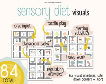 Special Education Resource | Sensory Diet | Visuals, PECs, Visual Supports | Visual Schedule, Routine | Pediatric Therapy | Digital Download